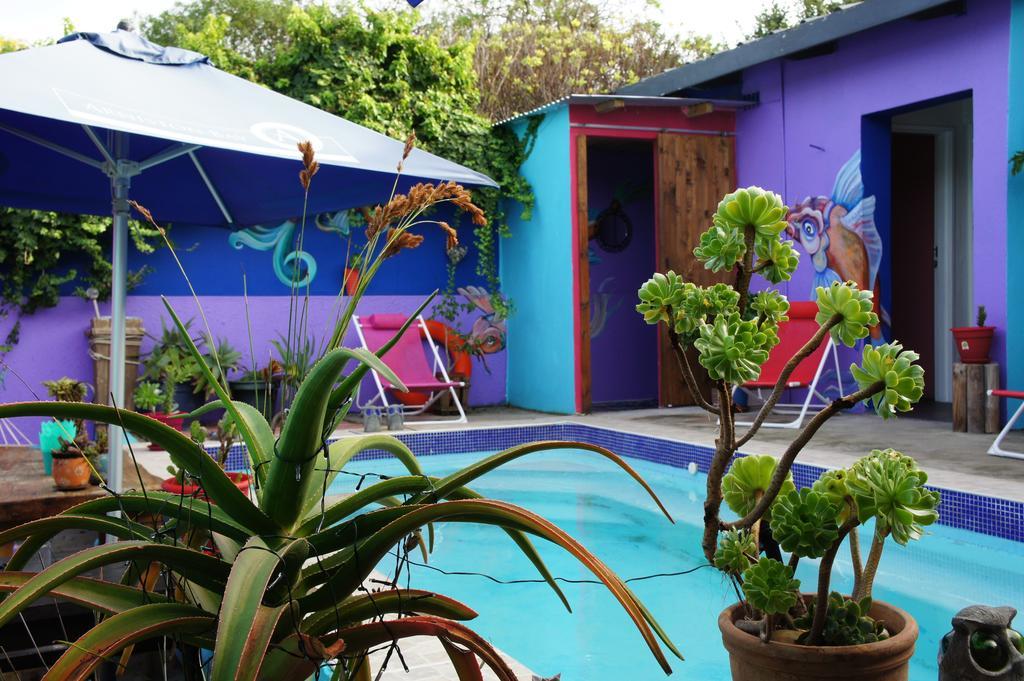 بيت شباب Cape Agulhas Backpackers ستروزباي الغرفة الصورة