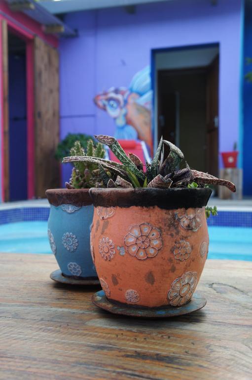 بيت شباب Cape Agulhas Backpackers ستروزباي الغرفة الصورة